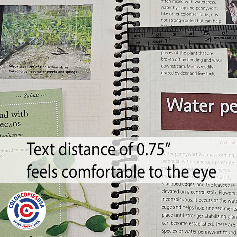 Correct spiral binding safe zone example: text positioned 0.75 inches from punched edge providing comfortable reading space