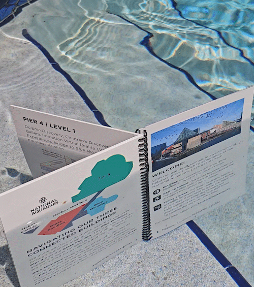 Animated GIF showing a synthetic paper booklet by a pool, demonstrating water resistance