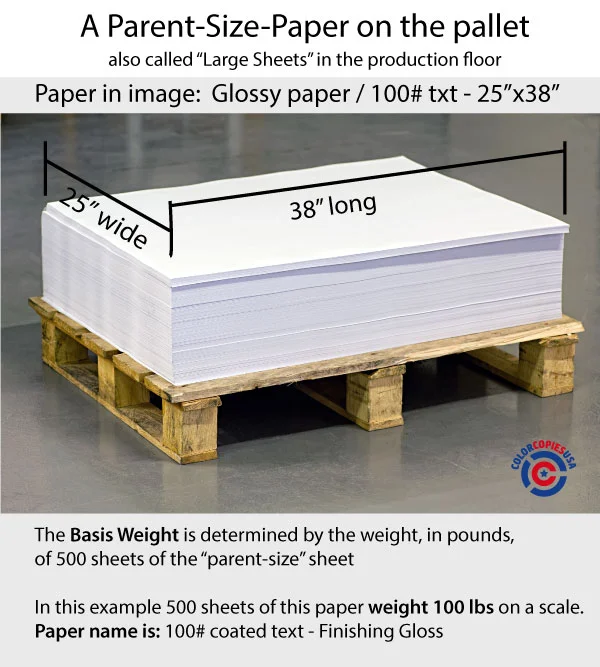 Paper manufactured in rolls at a paper mill