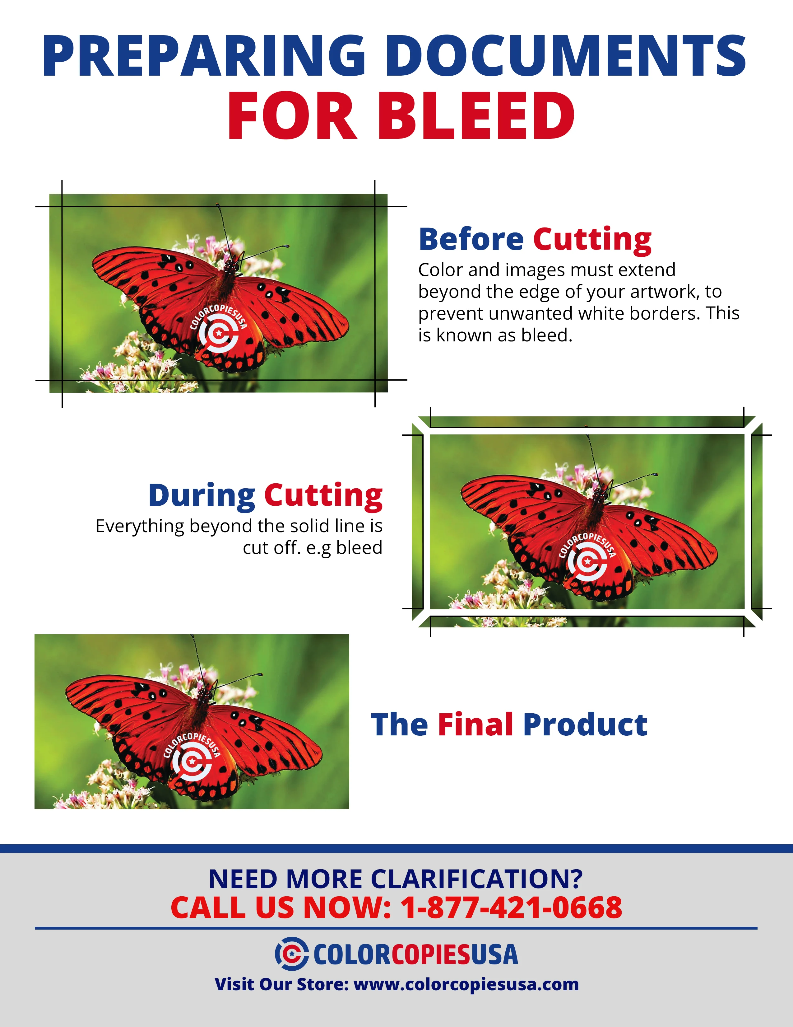 Infographic What is bleed printing from edge to edge and what is the ...