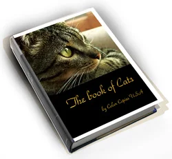 Same book cover without bleed showing constrained design