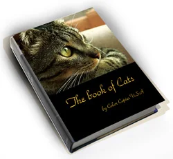 Book cover comparison - full bleed allows dramatic imagery